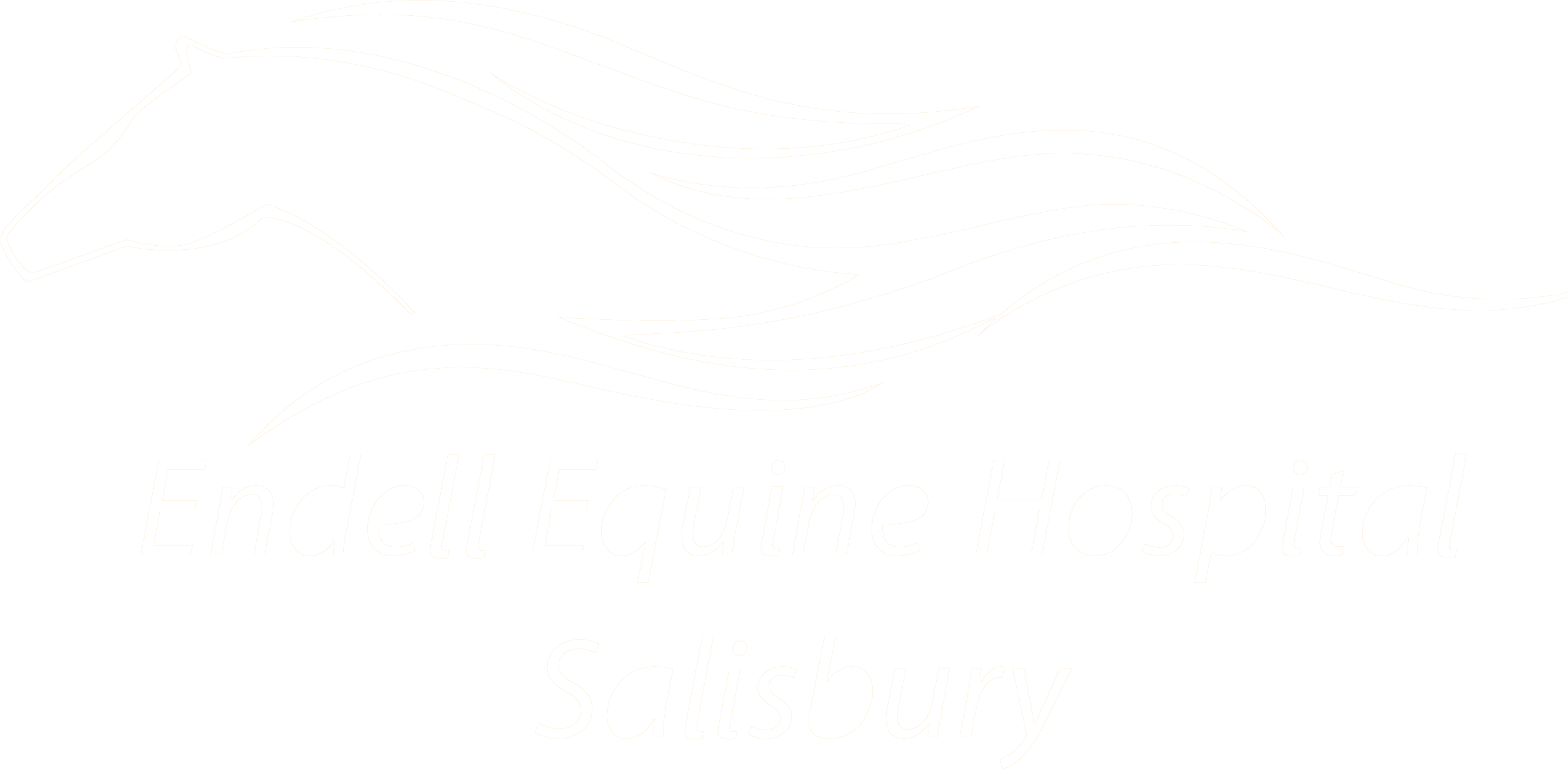 Endell Equine Hospital
